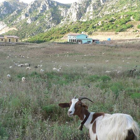 Agriturismo Sa Rocca Iglesias Εξωτερικό φωτογραφία