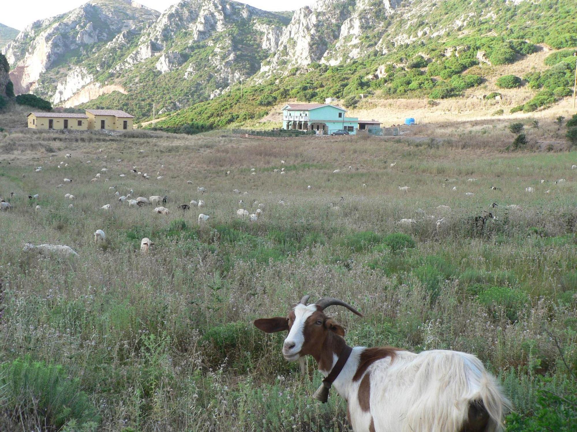 Agriturismo Sa Rocca Iglesias Εξωτερικό φωτογραφία