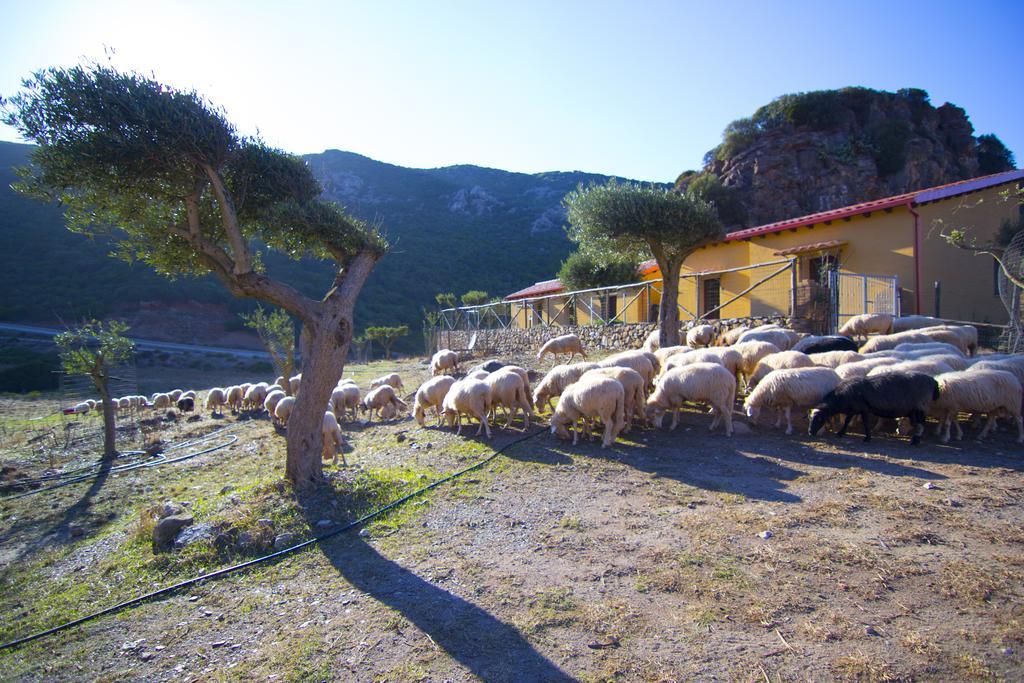 Agriturismo Sa Rocca Iglesias Εξωτερικό φωτογραφία