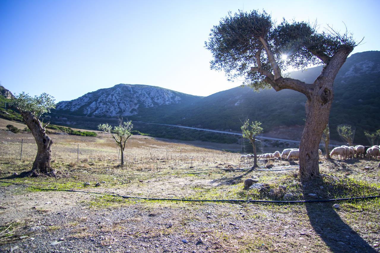 Agriturismo Sa Rocca Iglesias Εξωτερικό φωτογραφία